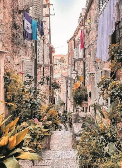 Plaza Royal In The Centre Lägenhet Dubrovnik Exteriör bild